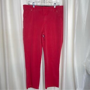 Democracy Ab Solution raw edge chino style pants